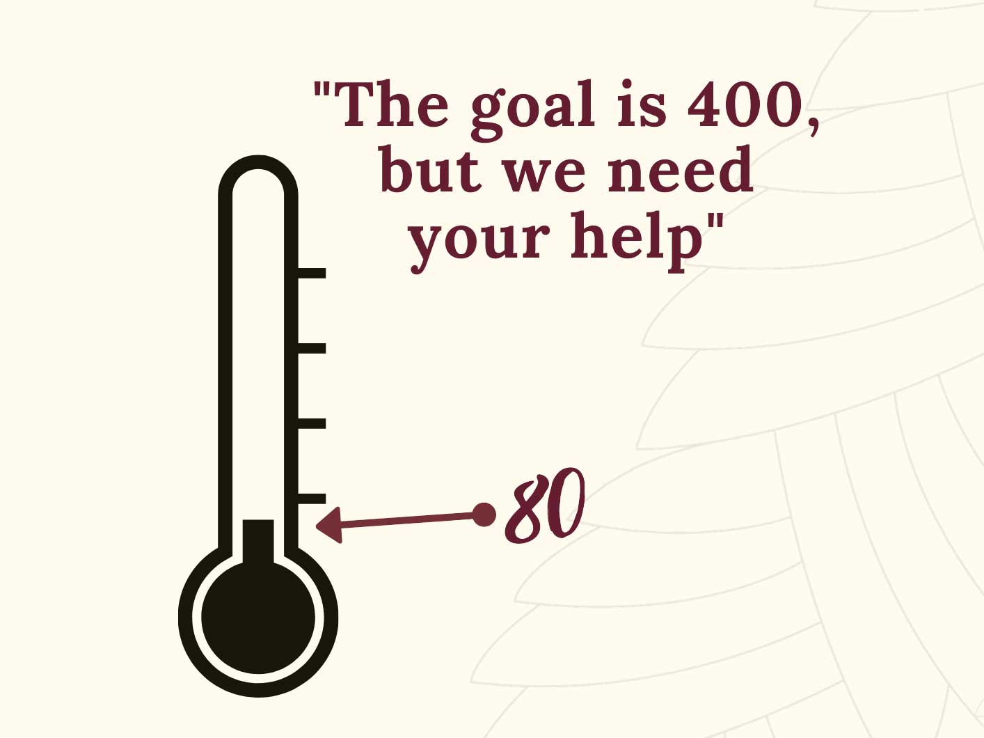 Education Presentations - Pat Cronin Foundation - End the Coward Punch