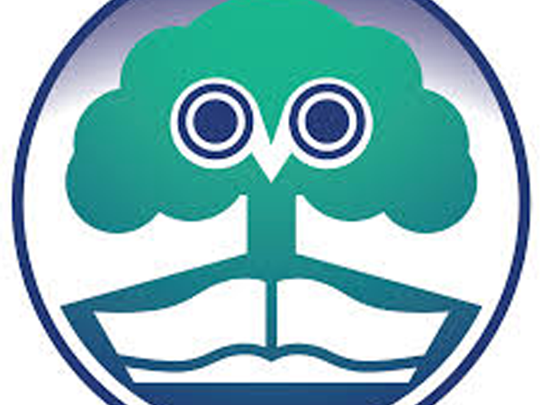 Be Wise - Pat Cronin Foundation