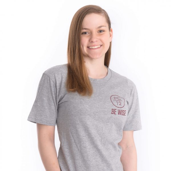 Adults Short Sleeve T-Shirts - Grey